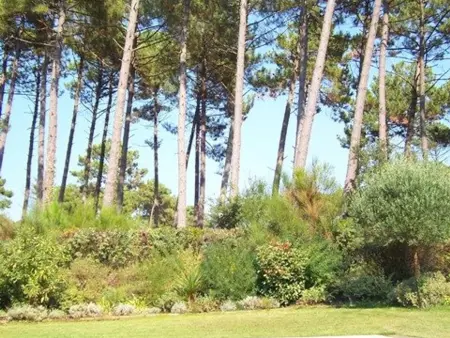 Villa avec piscine et Wifi - 10 pers., Villa 10 personnes à Moliets et Maa - Photo 19