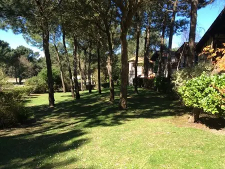 Maisonnette de charme - 4/6 pers., Maison 6 personnes à Moliets et Maa - Photo 9