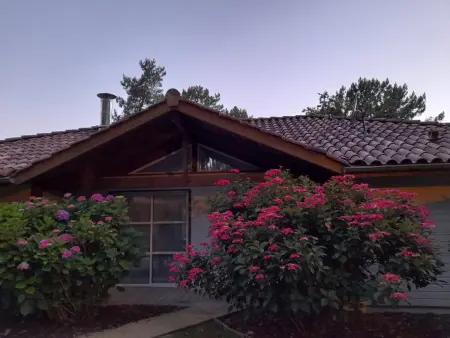 Villa avec piscine chauffée - 6 pers., Villa 6 personnes à Moliets et Maa - Photo 2