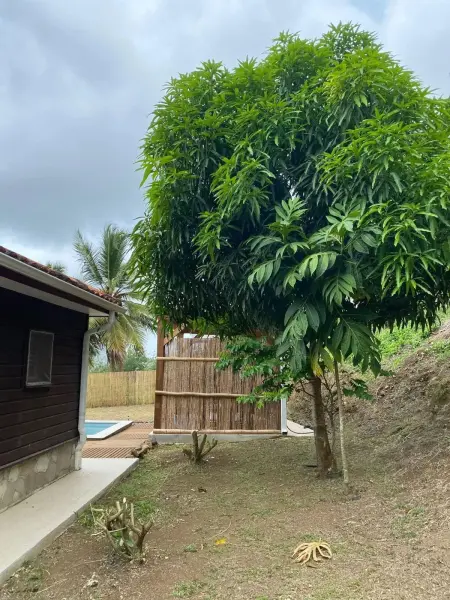 Charmante maison avec piscine à Le Vauclin, Maison 4 personnes à Le Vauclin - Photo 14