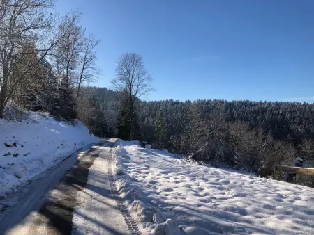 Maison vue panoramique, parking - 2 pers., Gite 2 personnes à Gérardmer - Photo 27