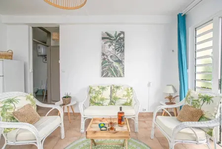 Appartement avec terrasse à Fort-de-France, 40 m², vue ville - Photo 1