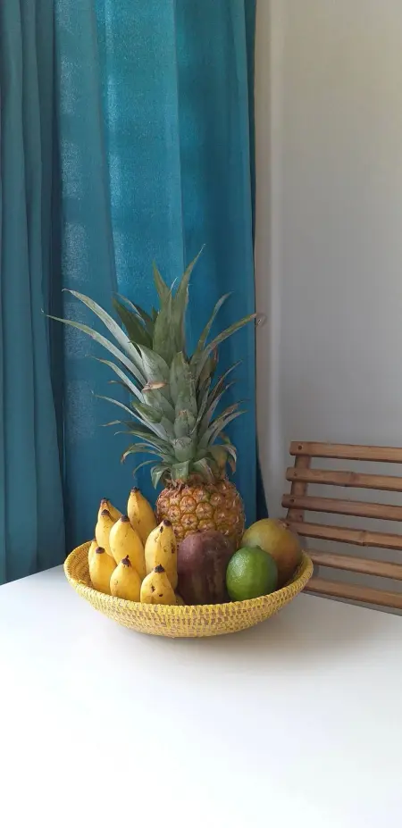 Appartement avec terrasse à Fort-de-France, 40 m², vue ville - Photo 13