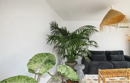 Maison 8 personnes à Perpignan - Photo 9