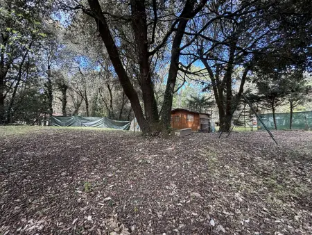 Charmante maison proche plage - 6 pers., Maison 6 personnes à Saint Trojan les Bains - Photo 18