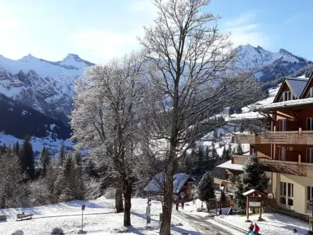 Selva AP A8, 1-Zimmerwohnung, Appartement 2 personnes à Adelboden - Photo 3