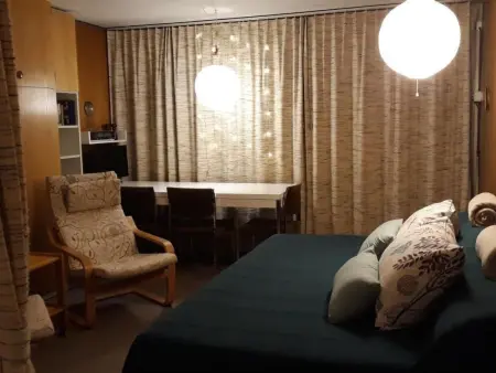 Selva AP A8, 1-Zimmerwohnung, Appartement 2 personnes à Adelboden - Photo 4