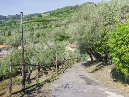Bella Casina, Gite 2 personnes à Massarosa - Photo 16