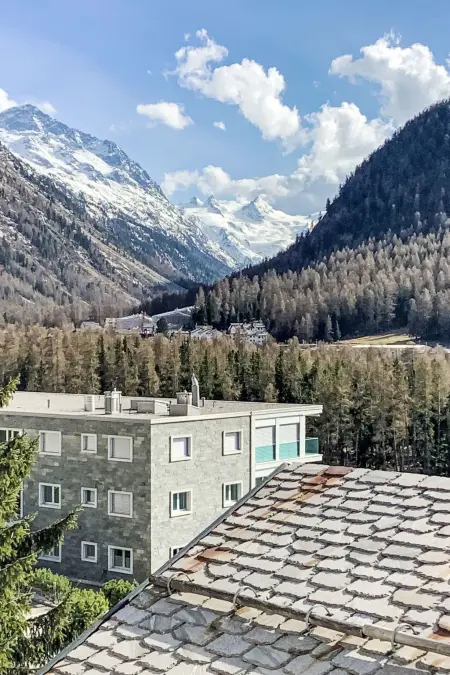 Panorama - Chesa Roseg ÖV inklusive, Appartement 4 personnes à Pontresina - Photo 24