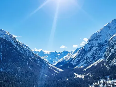 Panorama - Chesa Roseg ÖV inklusive, Appartement 4 personnes à Pontresina - Photo 25