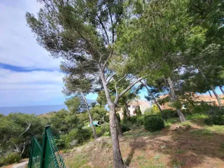 Appartement avec vue mer à Saint-Mandrier-sur-Mer - Photo 15