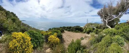 Appartement avec vue mer à Saint-Mandrier-sur-Mer - Photo 16