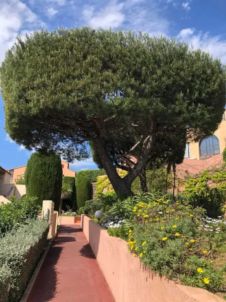 Appartement avec vue mer à Saint-Mandrier-sur-Mer - Photo 18