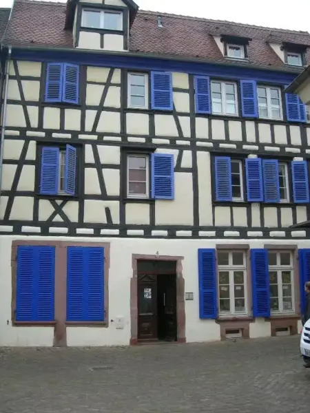 Studio moderne à Colmar, 30 m² avec équipements - Photo 3