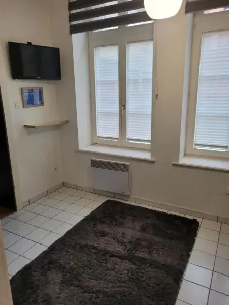 Studio moderne à Colmar, 30 m² avec équipements - Photo 5