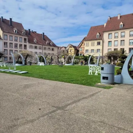 Studio moderne à Colmar, 30 m² avec équipements - Photo 6