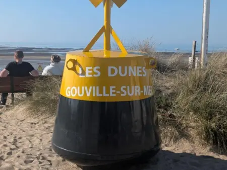 Maison lumineuse à Gouville-sur-Mer - Animaux OK - Photo 24