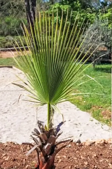 Cigale  mit Pool, Maison 5 personnes à Les Arcs sur Argens - Photo 32