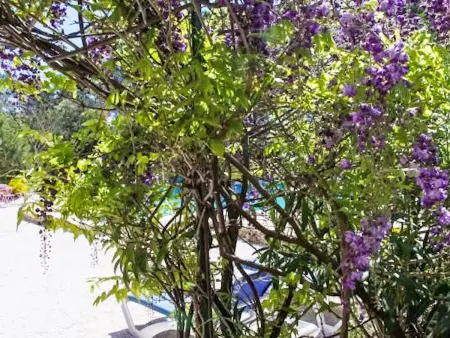 Cigale  mit Pool, Maison 5 personnes à Les Arcs sur Argens - Photo 36