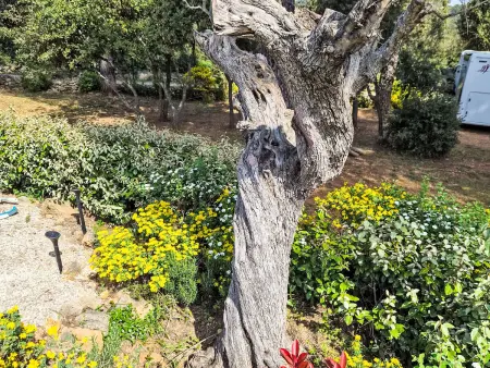 Vakantiehuis La Cigale, Maison 5 personnes à Les Arcs sur Argens - Photo 25