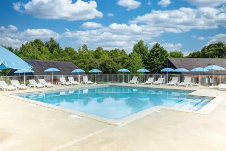 Le Domaine du Bosquet - Maison 2 piÃ¨ces 4 personnes - PMR, Appartement accessible avec jardin - Photo 1