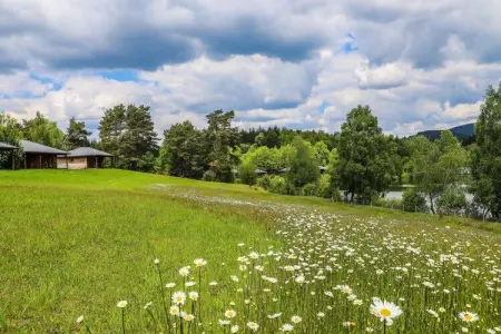 Le Domaine des MonÃ©diÃ¨res - Cabane de charme vue Lac 2ad  2enf -12ans, Chalet pour 4 personnes avec vue sur le lac - Photo 26