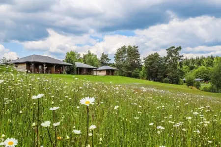 Le Domaine des MonÃ©diÃ¨res - Chalet 3 piÃ¨ces 6 personnes vue Lac, Chalet paisible pour 6 personnes, vue sur le lac - Photo 31