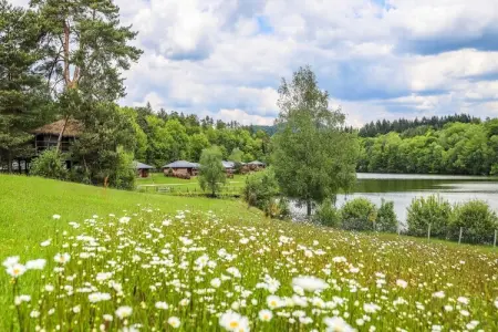 Le Domaine des MonÃ©diÃ¨res - Chalet 3 piÃ¨ces 6 personnes vue Lac, Chalet paisible pour 6 personnes, vue sur le lac - Photo 32