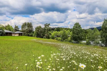 Le Domaine des MonÃ©diÃ¨res - Chalet 3 piÃ¨ces 6 personnes vue Lac, Chalet paisible pour 6 personnes, vue sur le lac - Photo 33