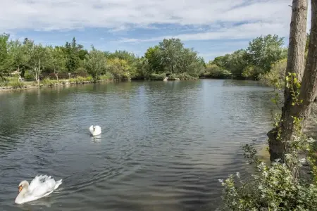 RÃ©sidence Sun Hols Les Rives du Lac Villa 4 piÃ¨ces 8 personnes avec piscine privÃ©e, Villa provençale pour 8 personnes avec piscine privée - Photo 25