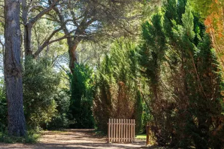 Les Demeures du Ventoux 	Maison 2 piÃ¨ces 4 personnes, Belle maison de vacances près des vignobles - Photo 19