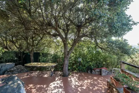 512853, Appartement Bellavista - UTNZ - Photo 5