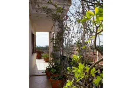513343, Appartement Pedra Mendalza - Photo 2