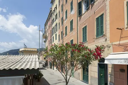 512072, La Mare di Camogli a un oblò - Photo 1