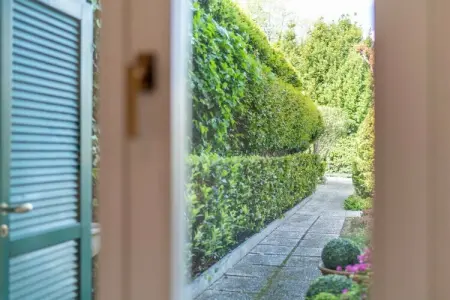 512913, Solelago Résidence de vacances tout confort - Photo 8