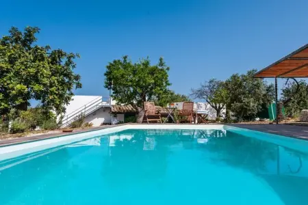512705, Villa Fico d India avec piscine - Photo 6