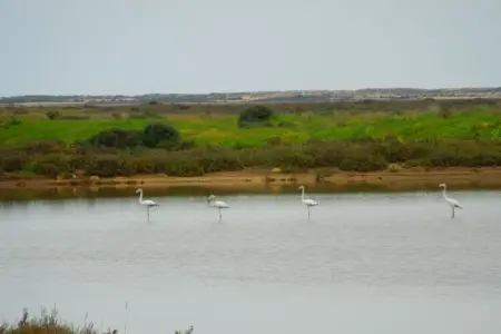 4053, Maison de vacances en Algarve avec 3 chambres - Photo 23