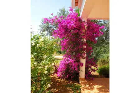 4053, Maison de vacances en Algarve avec 3 chambres - Photo 26
