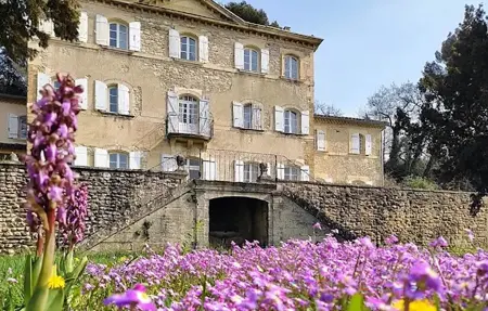 Château avec piscine privée, Maison 15 personnes à Valréas - Photo 9