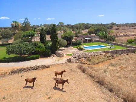 Finca rurale piscine et clim - 6 pers., Gite 6 personnes à Santa Margalida - Photo 22