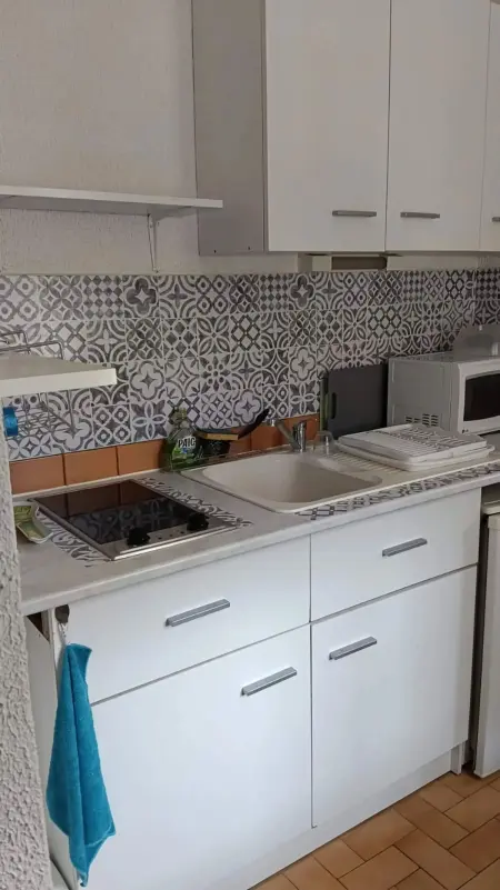 Studio agréable à Amélie-les-Bains-Palalda, 20 m² avec terrasse - Photo 3