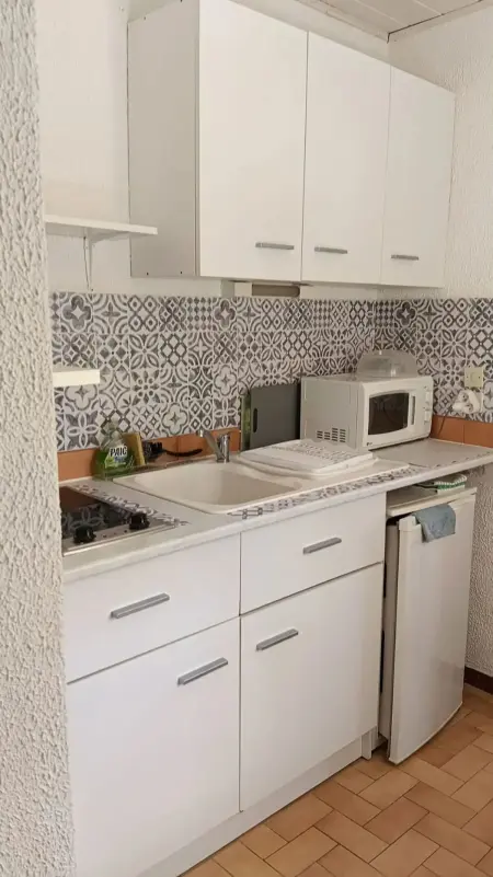 Studio agréable à Amélie-les-Bains-Palalda, 20 m² avec terrasse - Photo 7