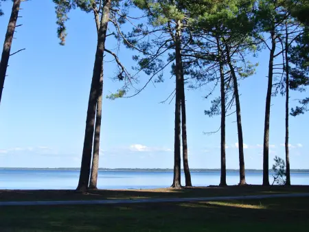 Jolie maison 2 chambres avec jardin proche Lac, idéale pour vacances - Photo 19