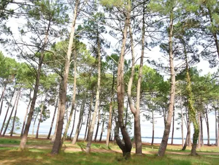 Jolie maison 2 chambres avec jardin proche Lac, idéale pour vacances - Photo 24