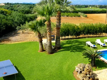 Maison rurale avec piscine - 8 pers., Villa 8 personnes à Santa Margalida - Photo 27