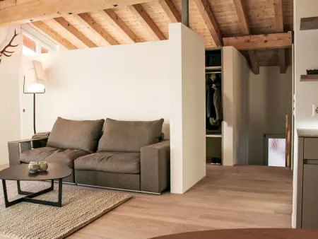 Cocoon-Laax, Appartement 4 personnes à Laax - Photo 9