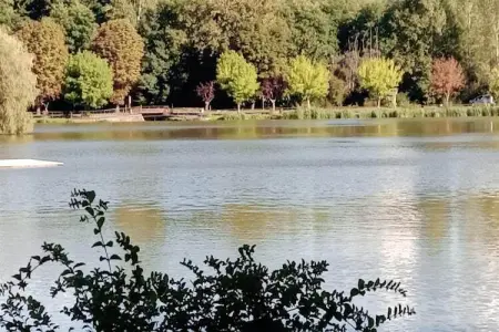 Hameaux de Pomette - Cottage 3 rooms PRM - 4 person, Cottage familial accessible, Marminiac - Photo 32