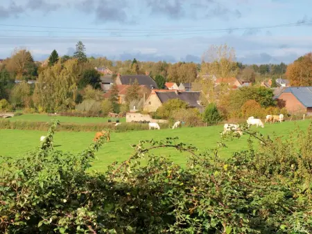 Gîte au calme avec parking - 5 pers., Gite 5 personnes à Saint Waast - Photo 9