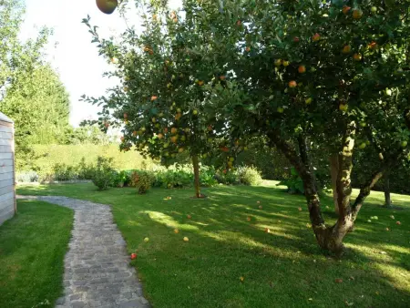 Gîte au calme avec parking - 5 pers., Gite 5 personnes à Saint Waast - Photo 22