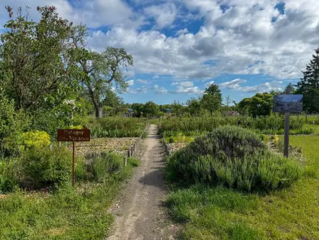 Gîte authentique Sologne - 6 pers., Gite 6 personnes à Villeny - Photo 25